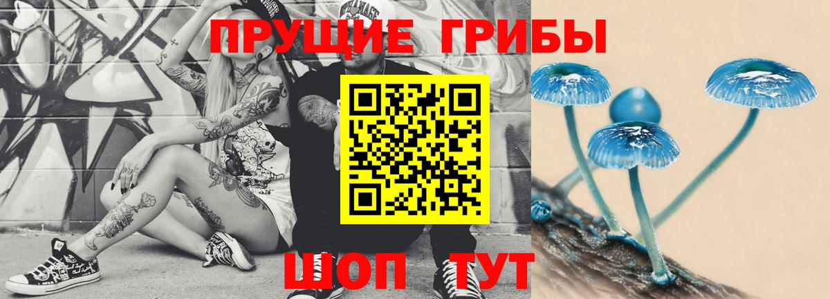 сколько стоит  Псилоцибиновые грибы Magic Shrooms  Псилоцибиновые грибы GOLDEN TEACHER  Вход с VPN  Черняховск 
